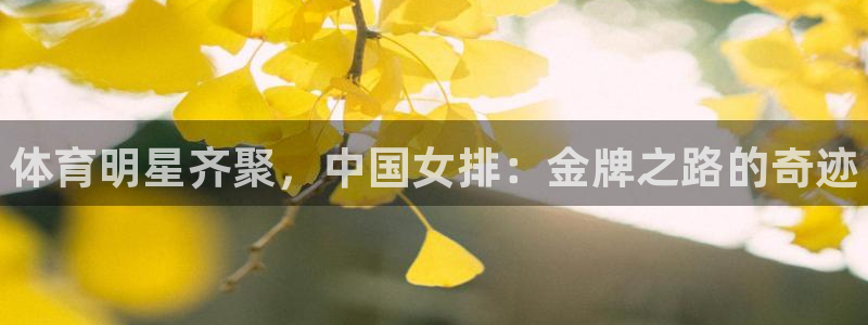 3377体育官网下载是干嘛的公司：体育明星齐聚，中国