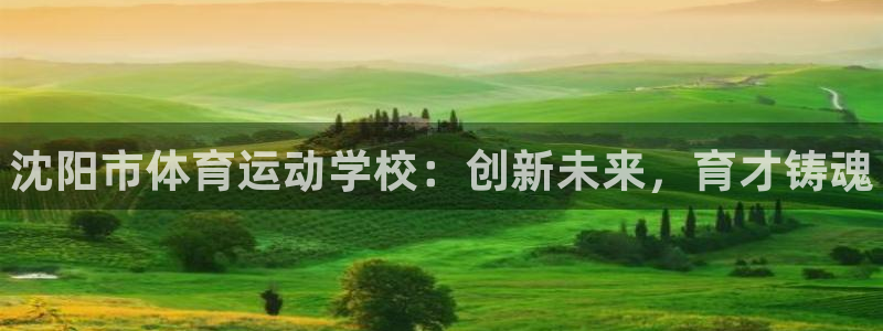 3377体育官网下载平台是正规平台吗：沈阳市体育运动学校：创