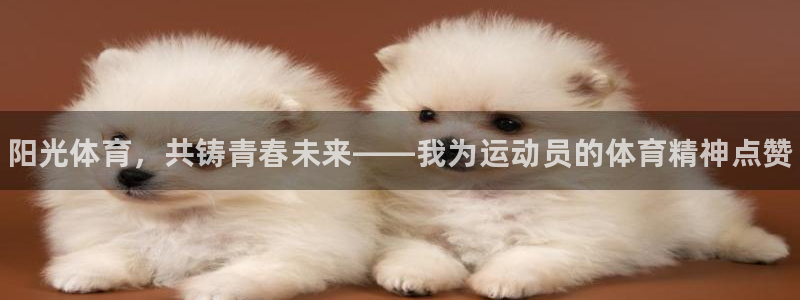 3377体育官方正版app集团logo：阳光体育，共