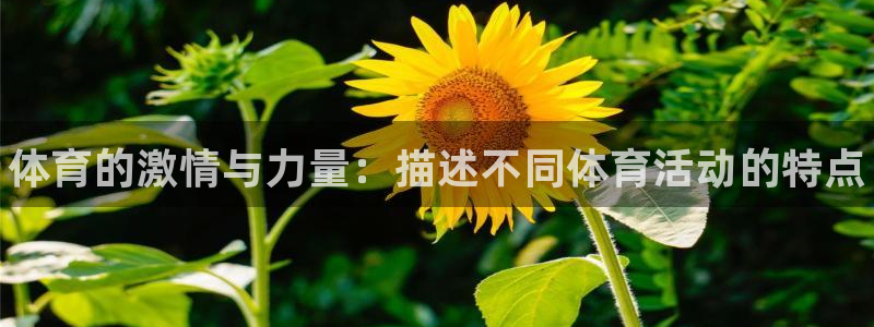 德国3377体育官方正版app集团：体育的激情与力量