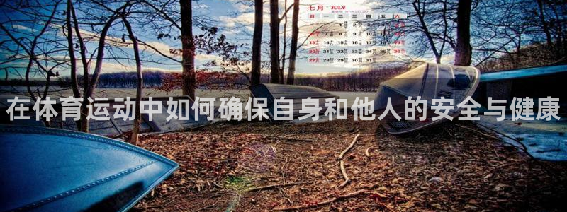 海南3377体育官网下载：在体育运动中如何确保自身和