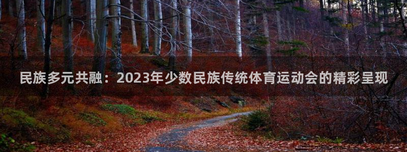 3377体育官网下载软件：民族多元共融：2023年少