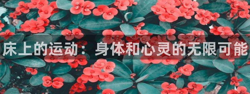 3377体育官网下载招商：床上的运动：身体和心灵的无