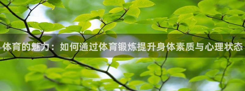 3377体育官网下载招商：体育的魅力：如何通过体育锻炼提升身