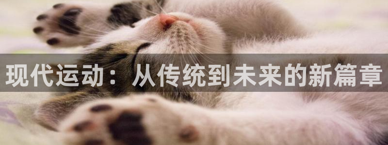 3377体育官方正版app集团官网首页网址
