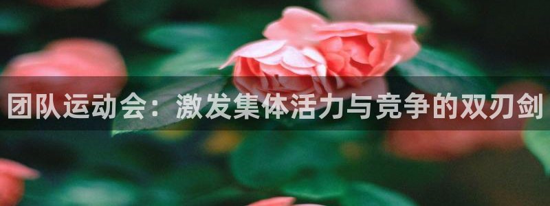 3377体育官网下载软件