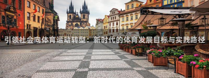海南3377体育官网下载：引领社会向体育运动转型：新时代的体