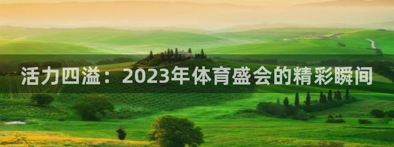 3377体育官网下载招商电话号码查询是多少：活力四溢：202