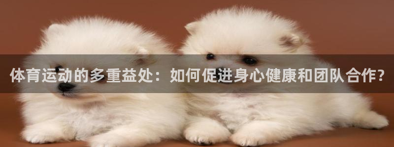 海南3377体育官网下载：体育运动的多重益处：如何促