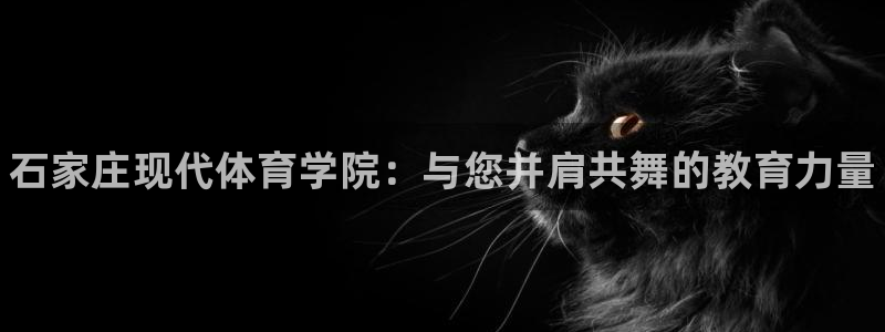 3377体育官方正版app五金厂：石家庄现代体育学院：与您并