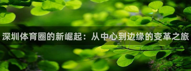 3377体育官网下载平台APP：深圳体育圈的新崛起：从中心到