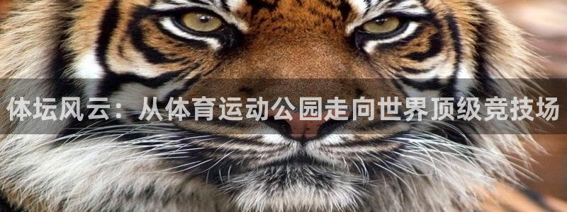 3377体育官网下载平台注册：体坛风云：从体育运动公园走向世