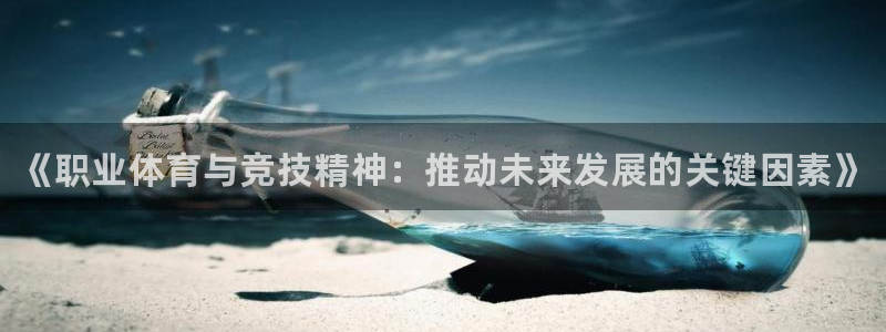 3377体育官方正版app集团简介：《职业体育与竞技精神：推