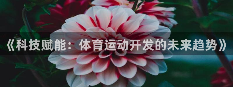 3377体育官方正版app娱乐首页官网下载：《科技赋
