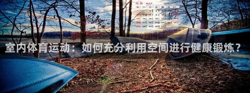 3377体育官方正版app新能源：室内体育运动：如何