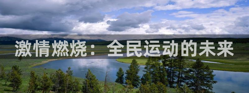 3377体育官网下载是干嘛的公司：激情燃烧：全民运动的未来