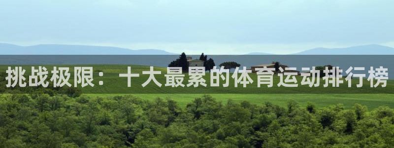 3377体育官网下载平台APP：挑战极限：十大最累的