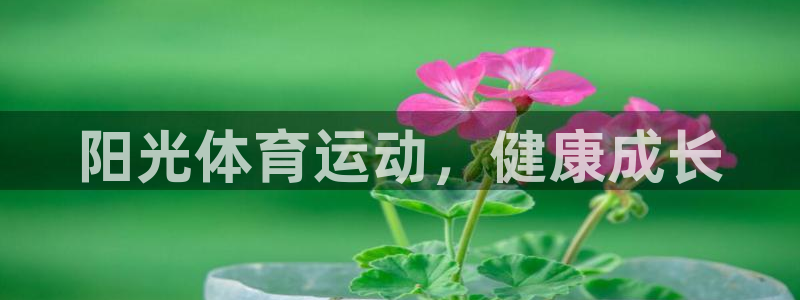 3377体育官网下载招商电话号码是多少啊：阳光体育运动，健康