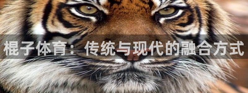 3377体育官方正版app娱乐下载：棍子体育：传统与