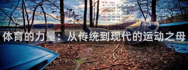 3377体育官网下载招商电话：体育的力量：从传统到现代的运动