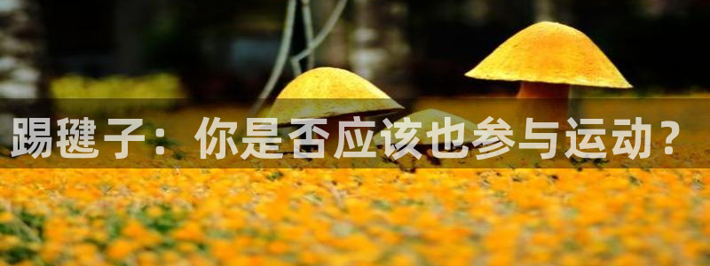 3377体育官网下载招商电话号码查询：踢毽子：你是否