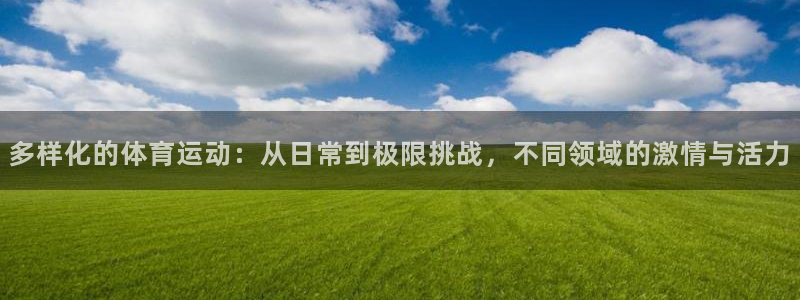 3377体育官方正版app集团E.ON：多样化的体育
