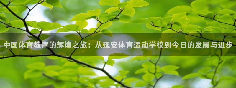 3377体育官网下载平台注册流程视频：中国体育教育的
