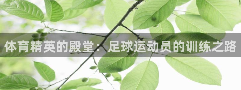 3377体育官方正版app娱乐平台：体育精英的殿堂：足球运动