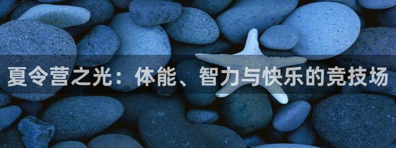 3377体育官网下载招商电话：夏令营之光：体能、智力与快乐的