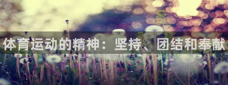 3377体育官方正版app集团logo：体育运动的精