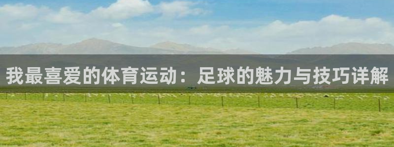 3377体育：我最喜爱的体育运动：足