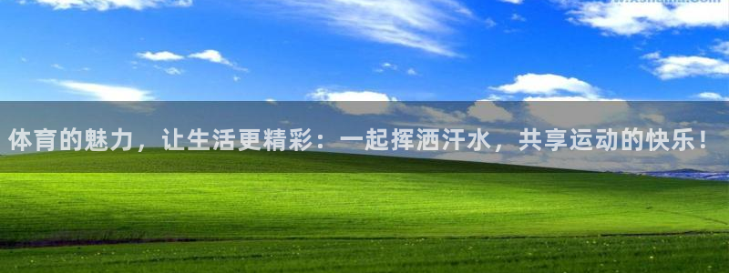 3377体育官网下载：体育的魅力，让