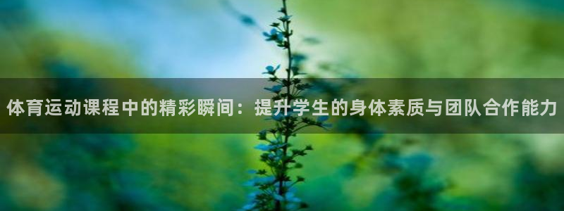 3377体育现在叫什么：体育运动课程