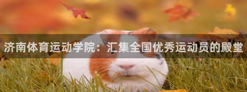  3377体育属于国家打击范围吗：济南体育运动学院：汇集全国优