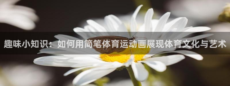  3377体育app官网下载地址：趣味小知识：如何用简笔体育运