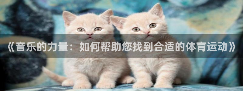 3377体育最厉害三个平台：《音乐的