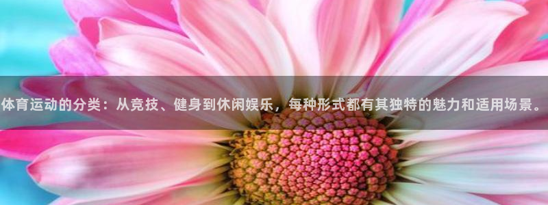 3377体育是干嘛的：体育运动的分类