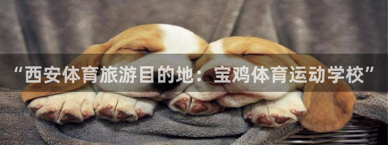 3377体育退款：“西安体育旅游目的地：宝鸡体育运动学校”