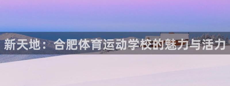  3377体育有风险吗：新天地：合肥体育运动学校的魅力与活力
