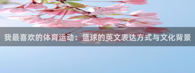 3377体育最害怕三个东西：我最喜欢的体育运动：篮球的英文表