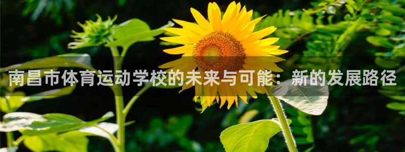 3377体育被国家取消了吗为什么：南